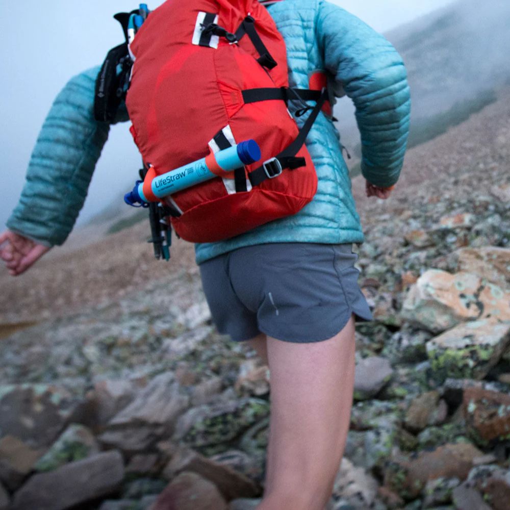 LifeStraw PERSONAL WATER FILTER