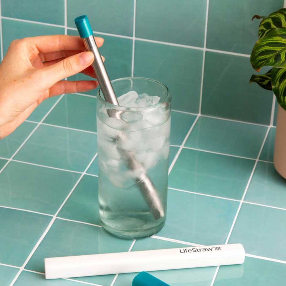 LifeStraw Sip Reusable Steel Filter Straw with carry case