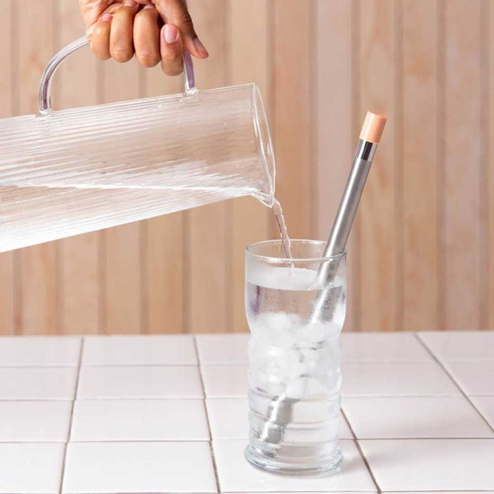 LifeStraw Sip Reusable Steel Filter Straw with carry case